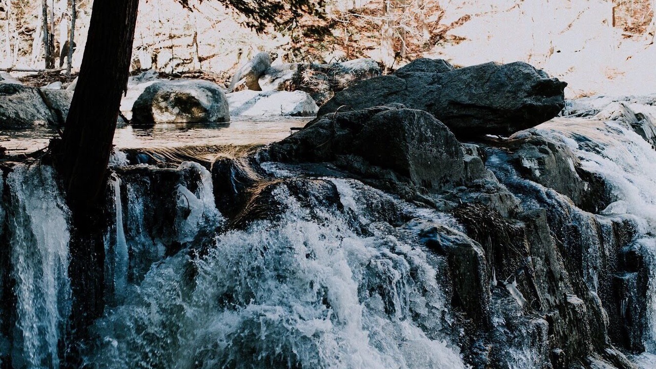 Photo of Others in Mount Holly