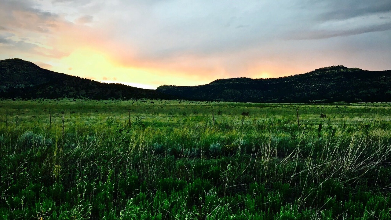 Photo of Outdoor in Angel Fire