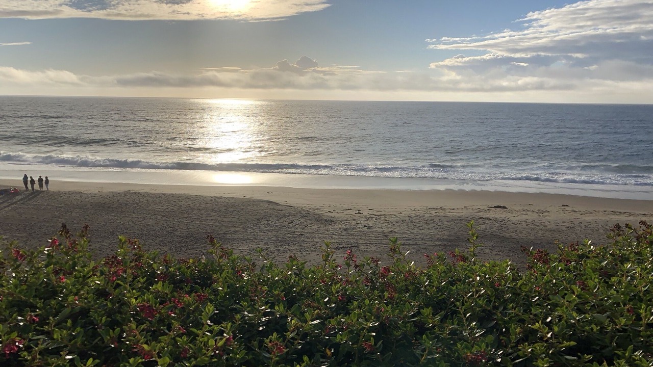 Photo of Others in Gleneden Beach