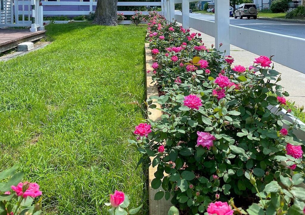 Photo of Outdoor in Ludlow