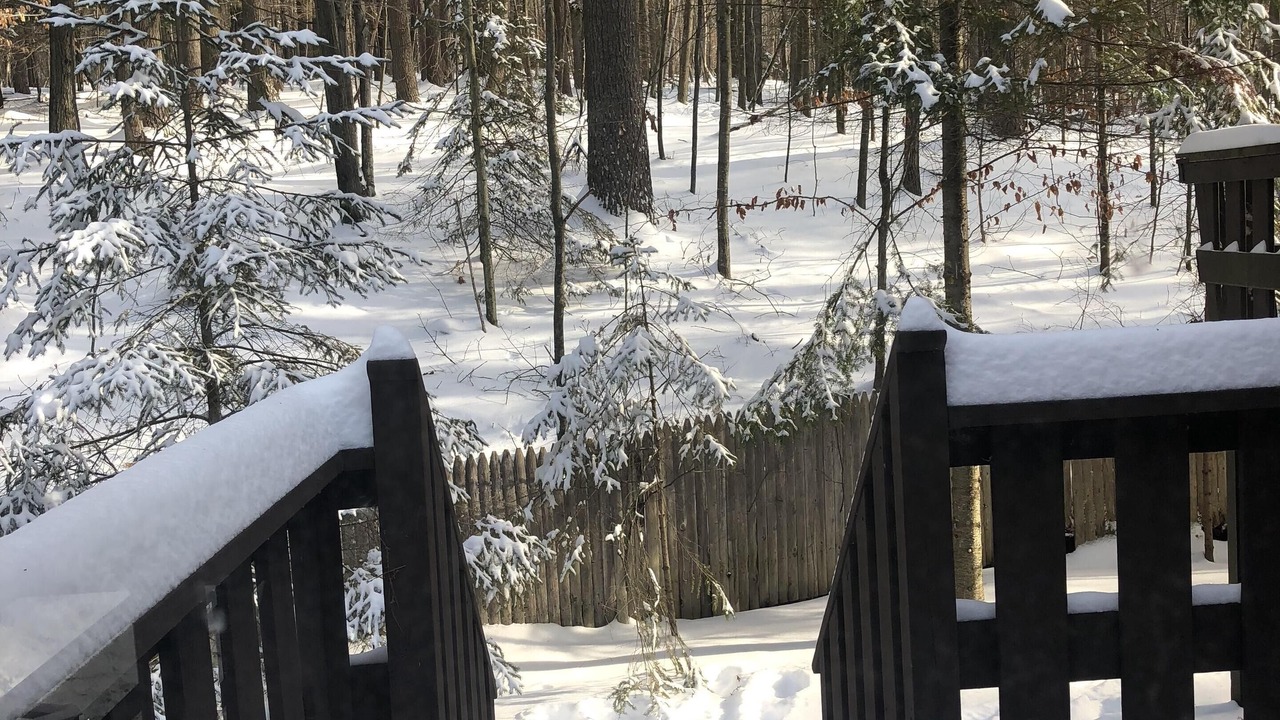 Photo of Outdoor in Jay