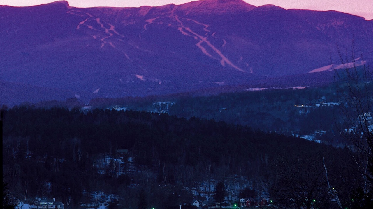 Photo of Others in Stowe Hollow