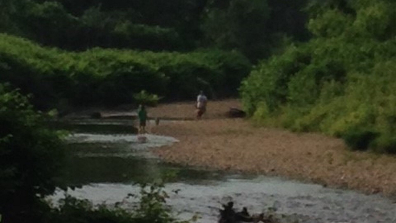 Photo of Others in Stowe Hollow