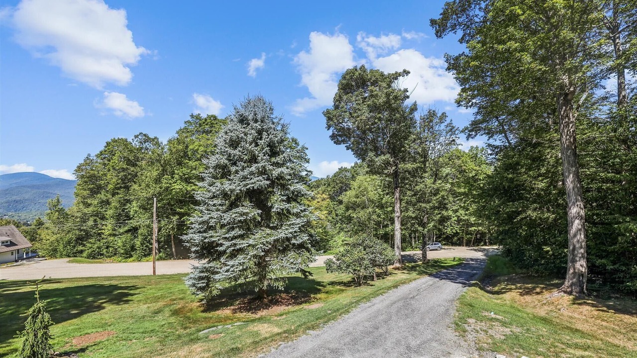 Photo of Others in Stowe Hollow