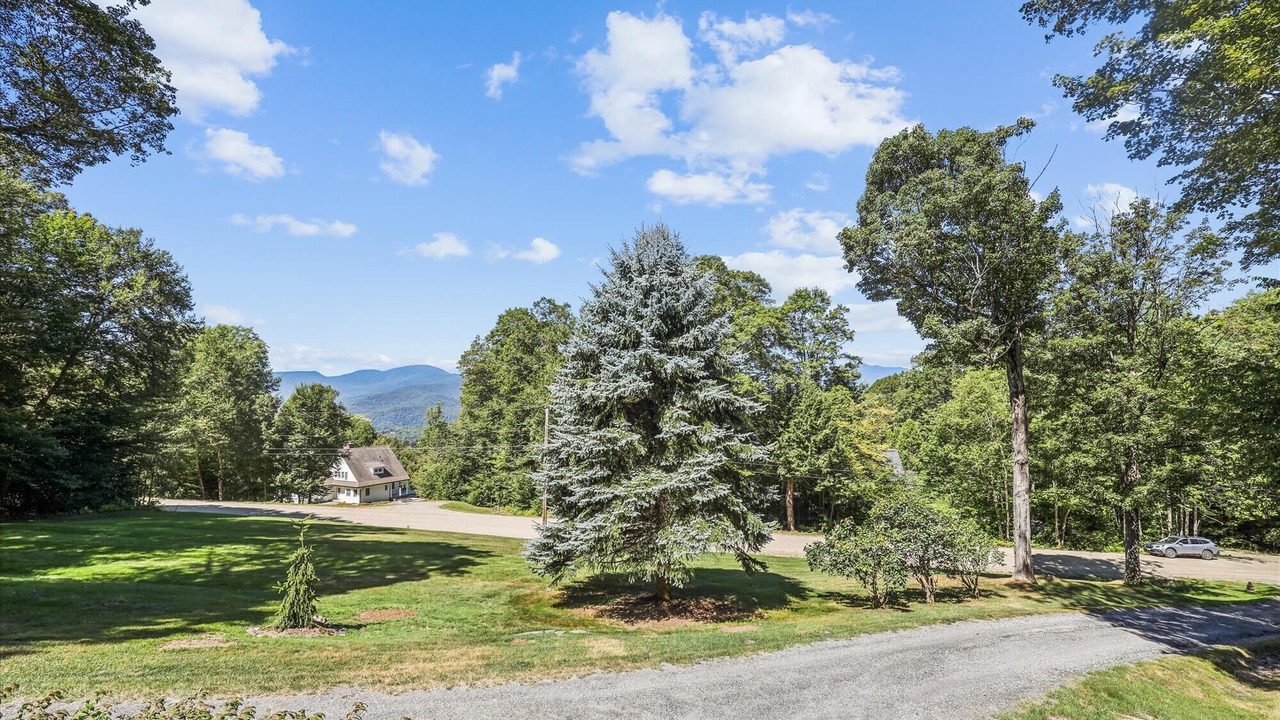 Photo of Others in Stowe Hollow
