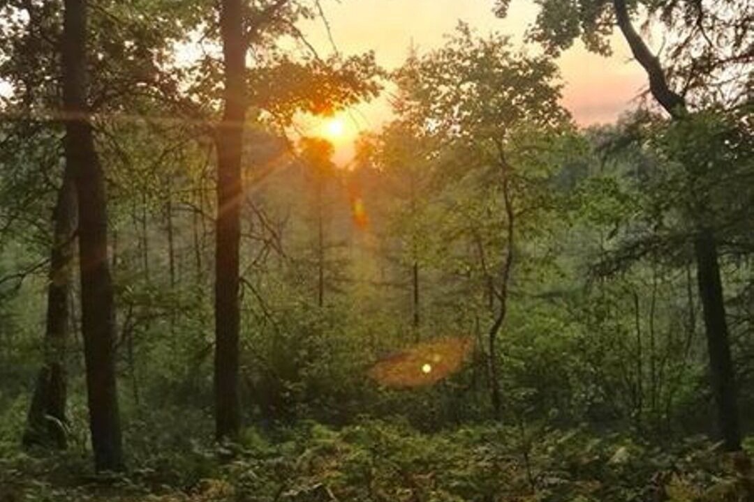Photo of Outdoor in Webster