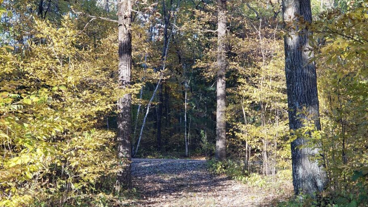 Photo of Others in Pine City