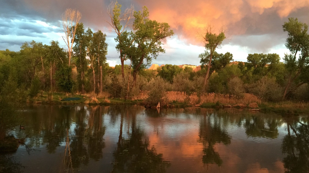 Photo of Others in Chimayo