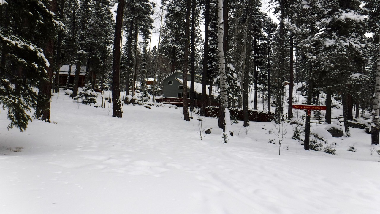 Photo of Others in Jemez Springs