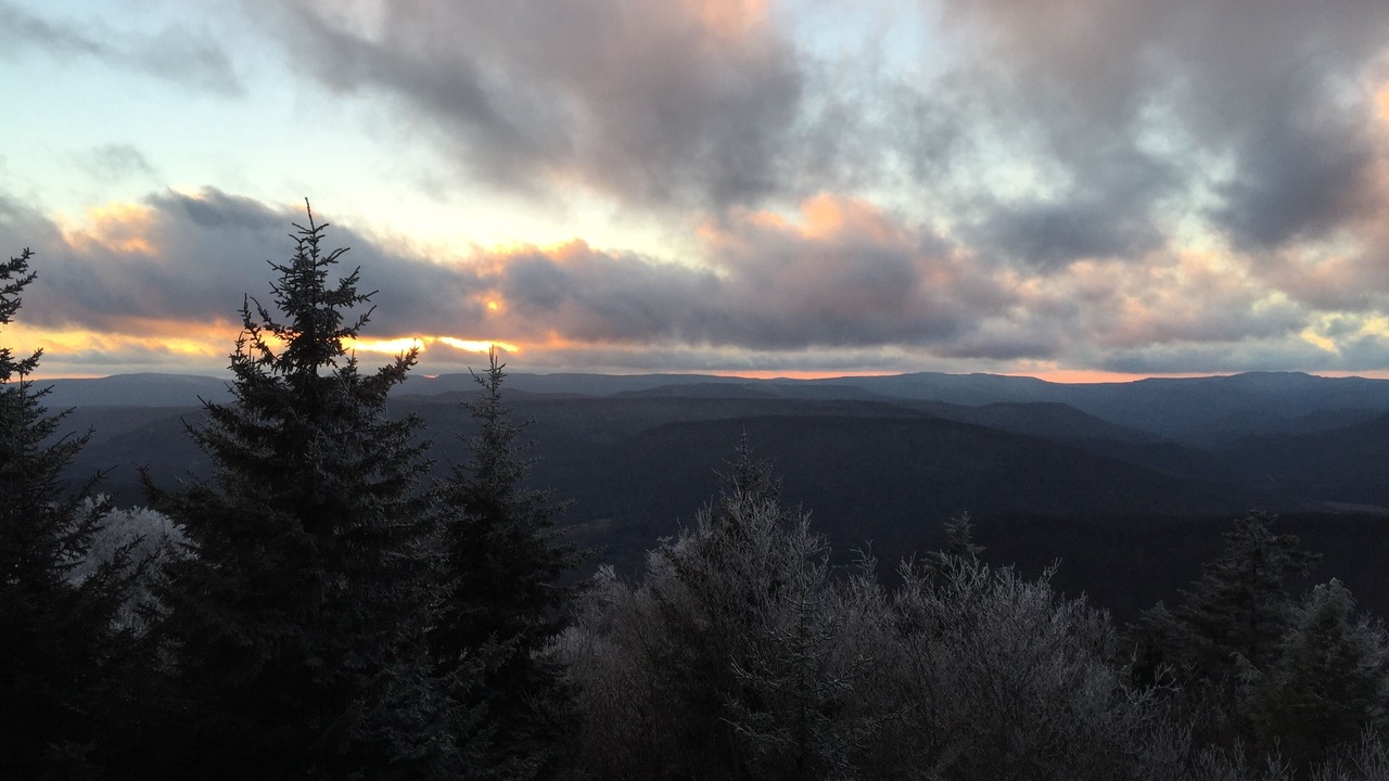 Photo of Others in Snowshoe