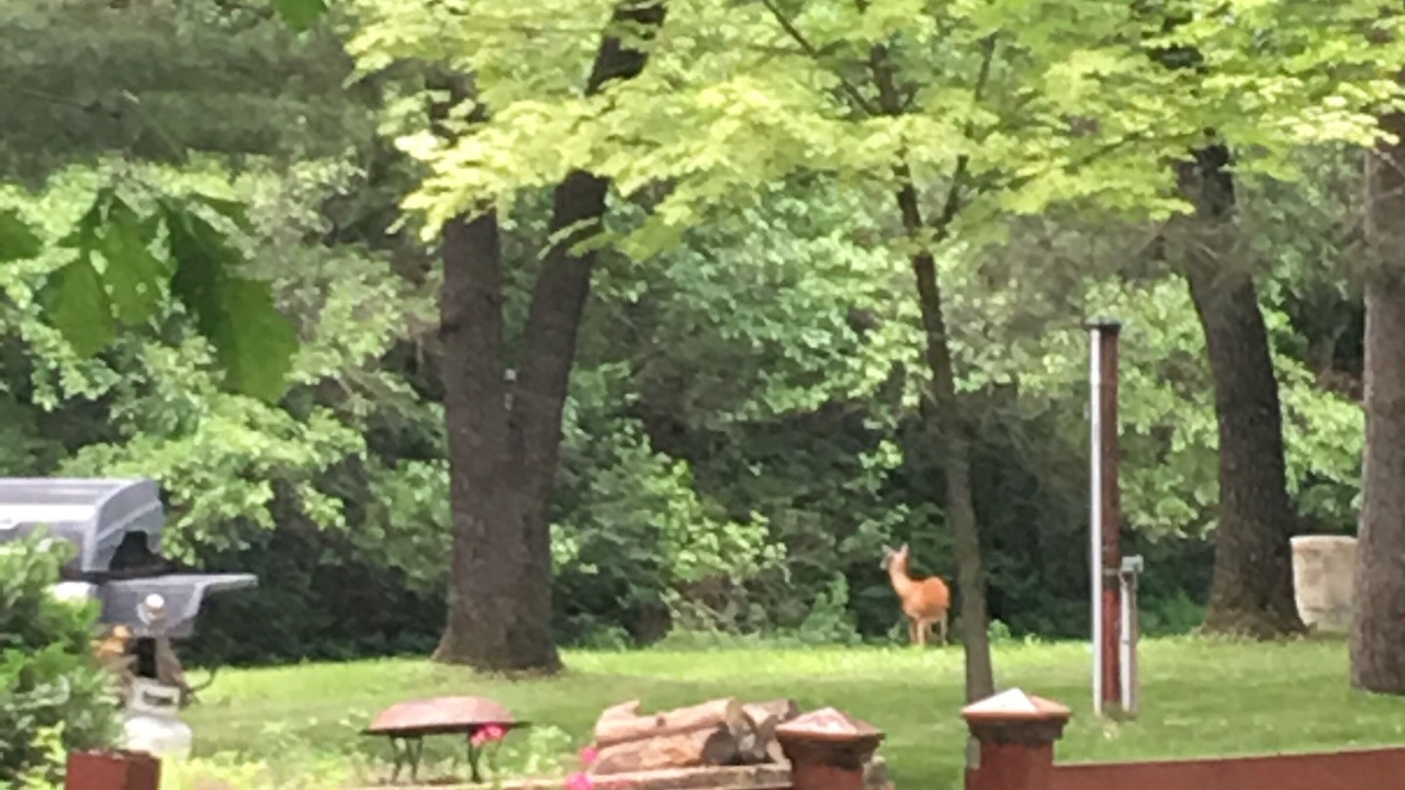 Photo of Outdoor in Hager City