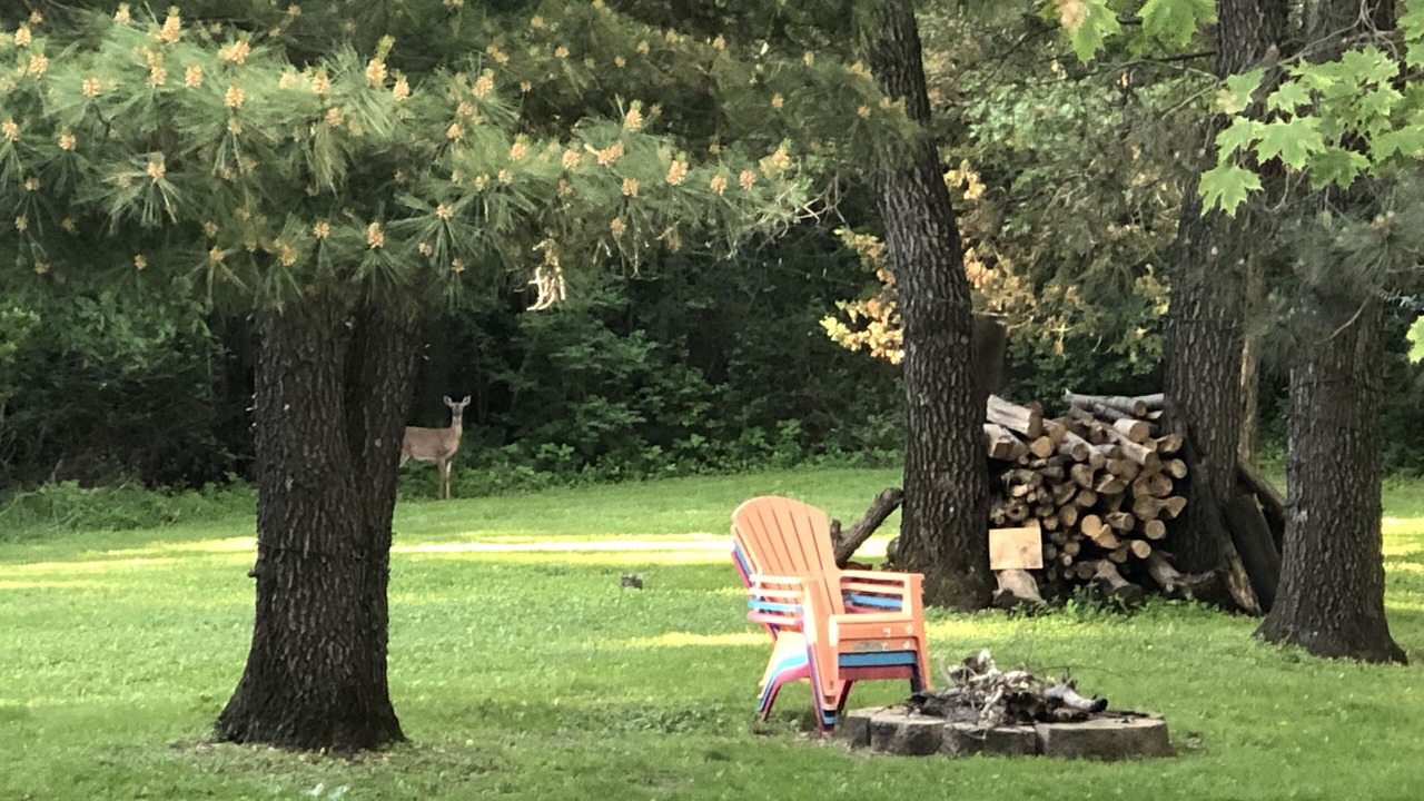 Photo of Outdoor in Hager City