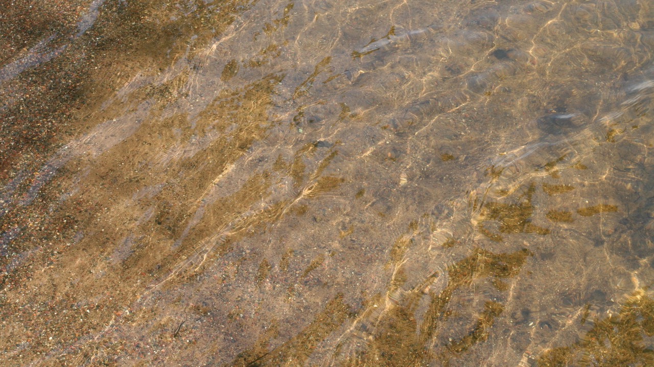 Photo of Others in Stone Lake