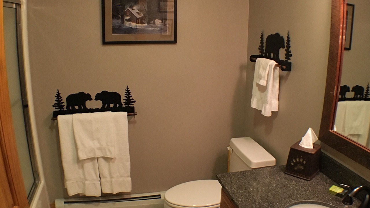 Photo of Bathroom in North Troy