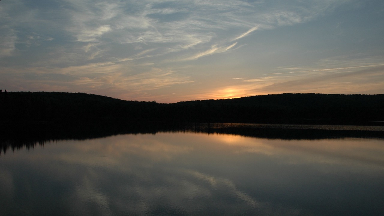 Photo of Others in Walden