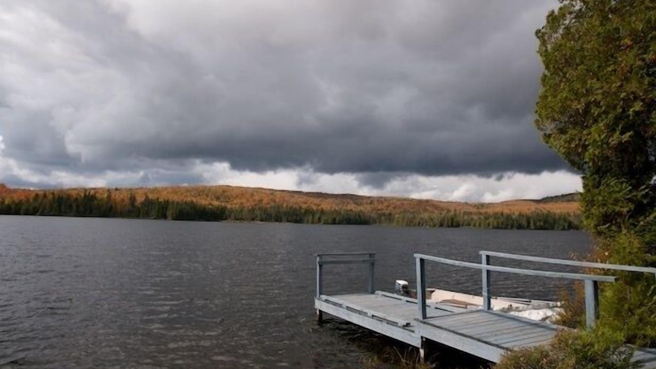 Photo of Others in Walden