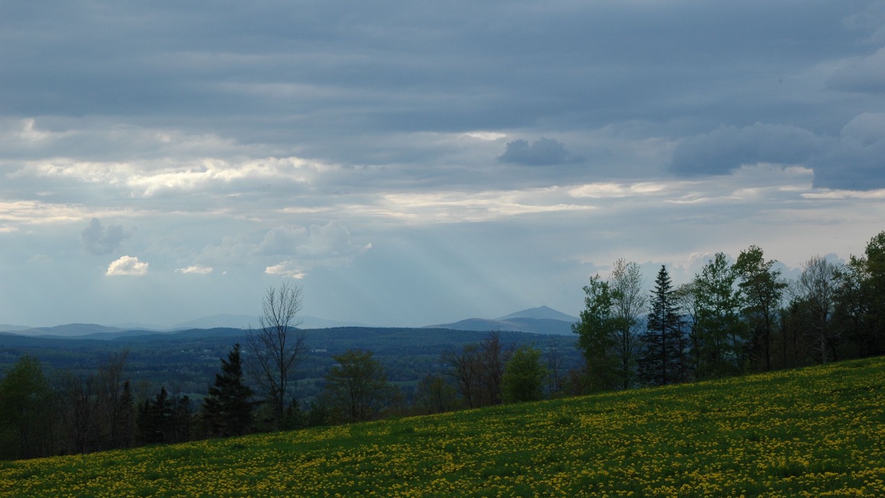 Photo of Others in Walden
