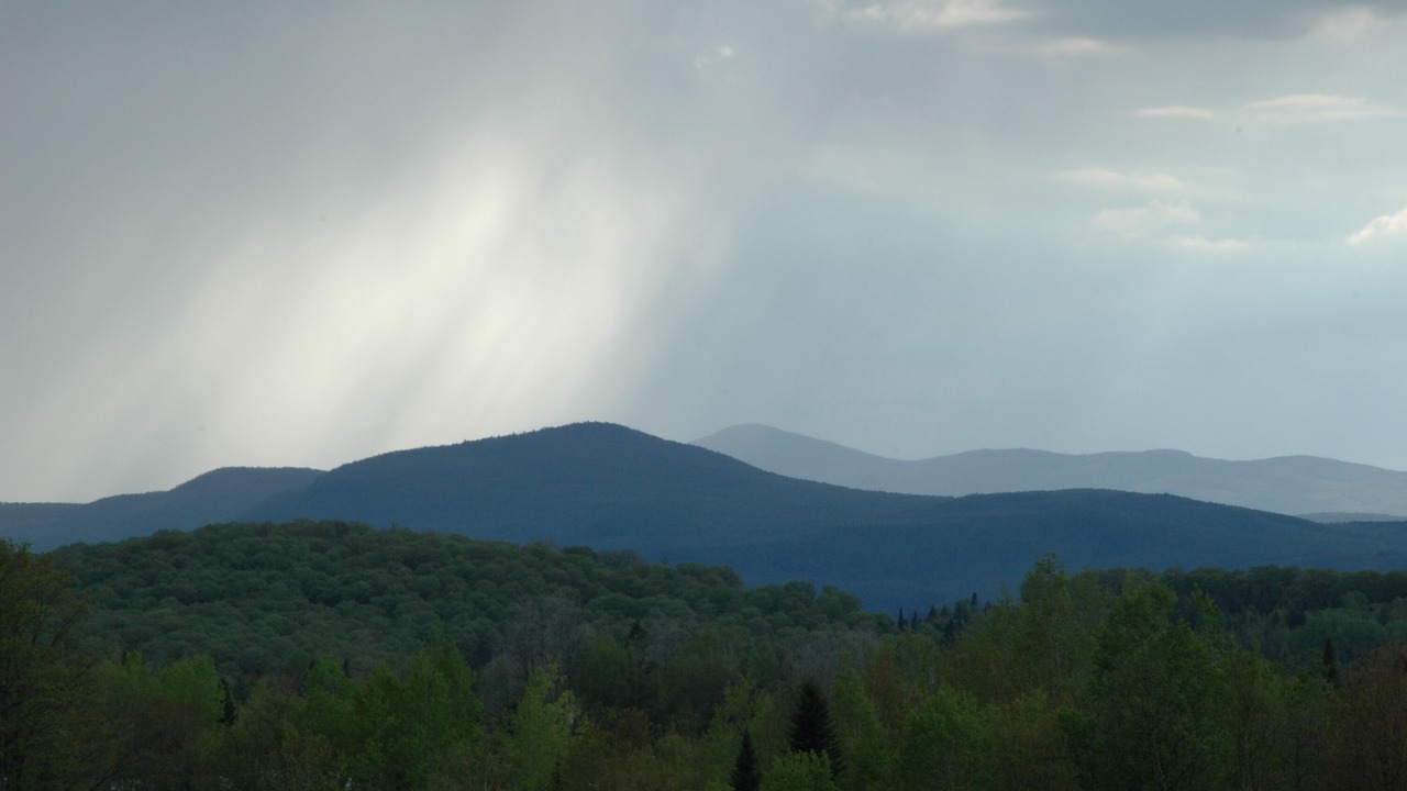 Photo of Others in Walden