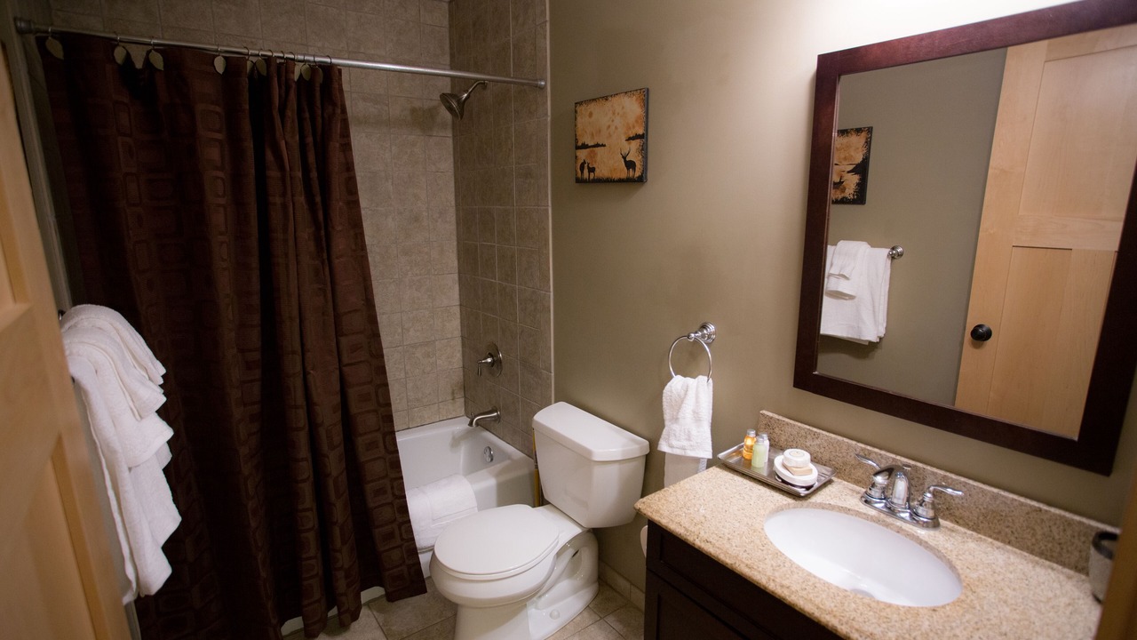 Photo of Bathroom in Saint Paul Park