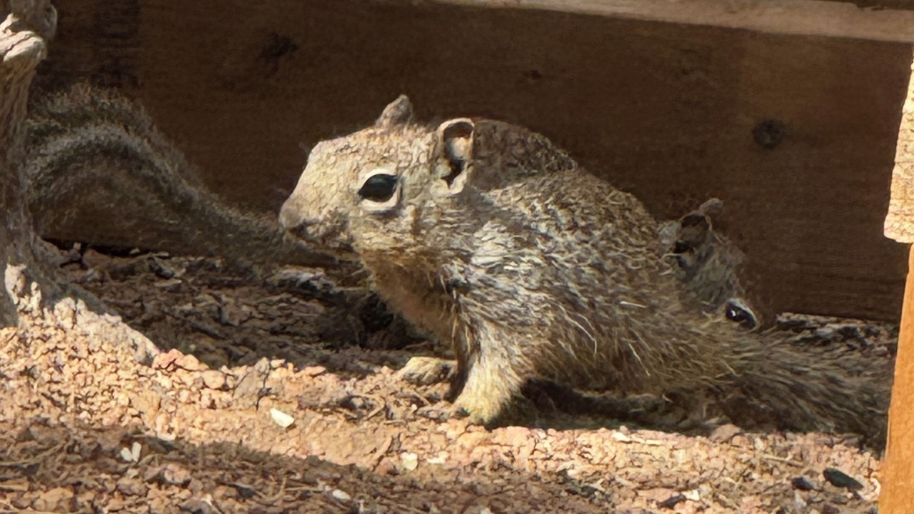 Photo of Others in Canoncito