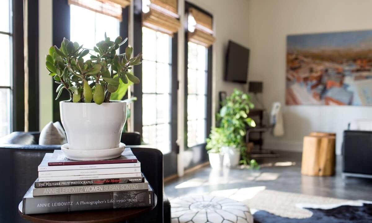 Photo of Livingroom in Belmont