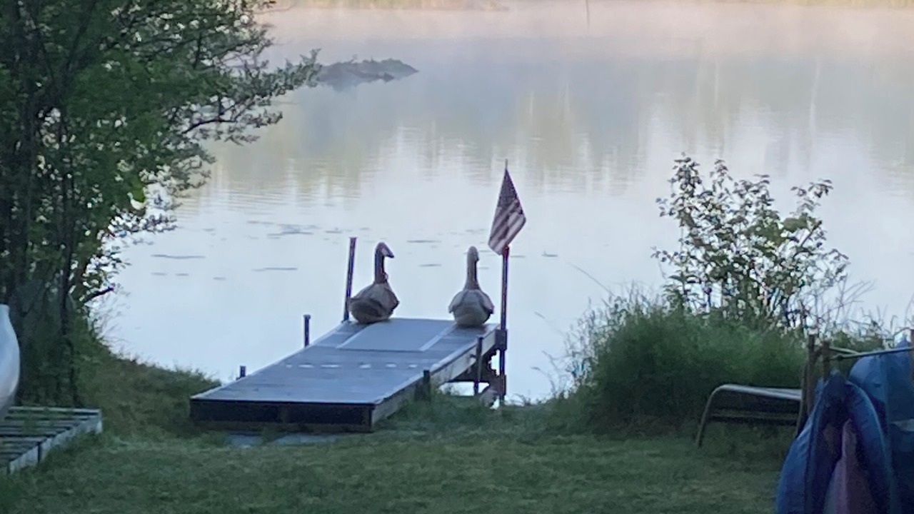 Photo of Outdoor in Pittsfield