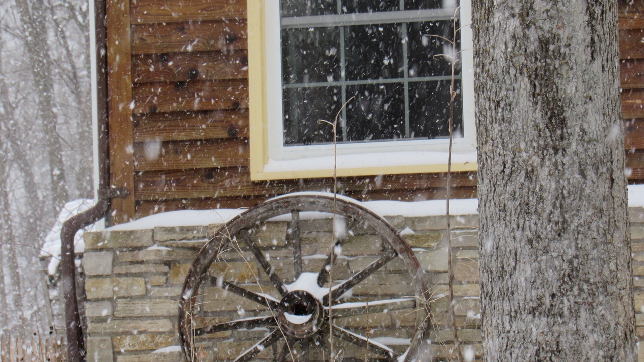 Photo of Others in Caledonia