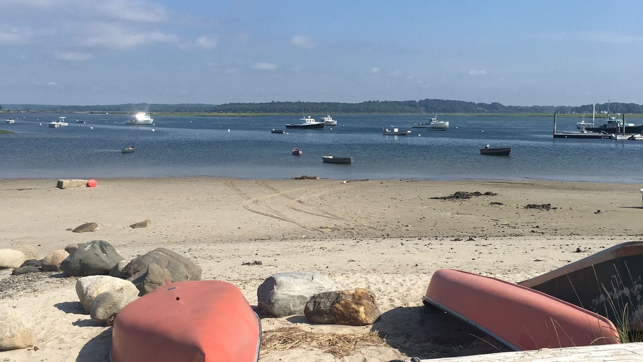 Photo of Others in Pine Point