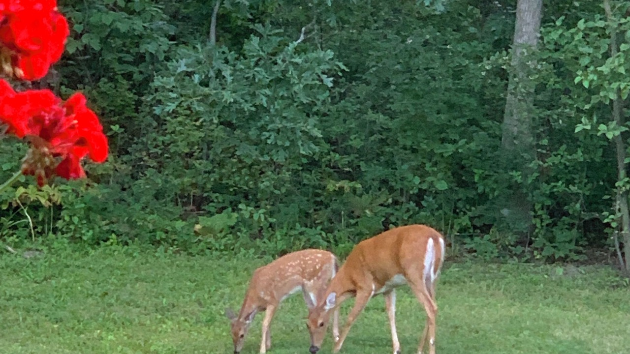 Photo of Others in Viroqua