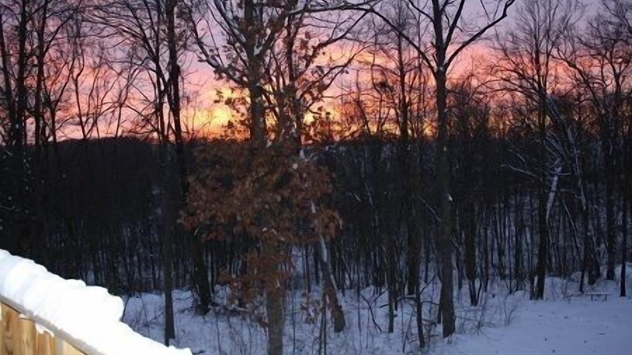 Photo of Others in Viroqua