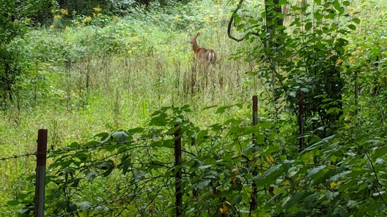 Photo of Others in Viroqua