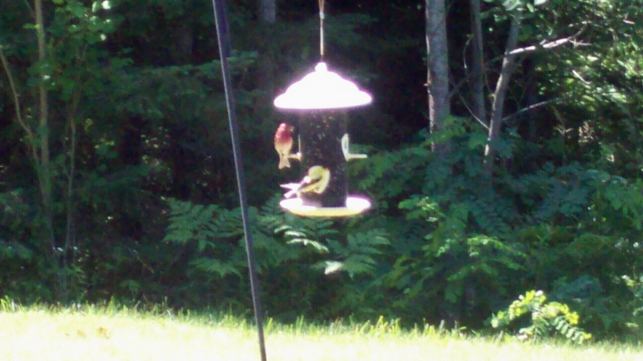 Photo of Outdoor in Deerbrook
