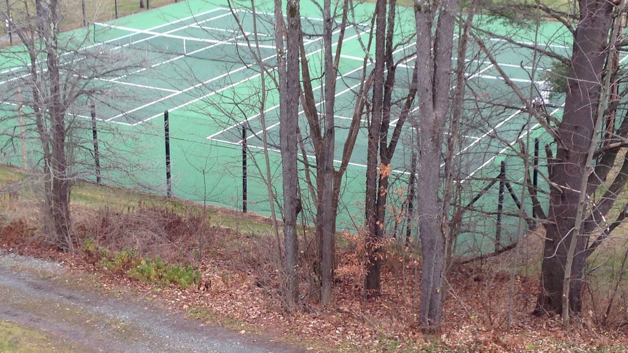 Photo of Others in Stowe Area