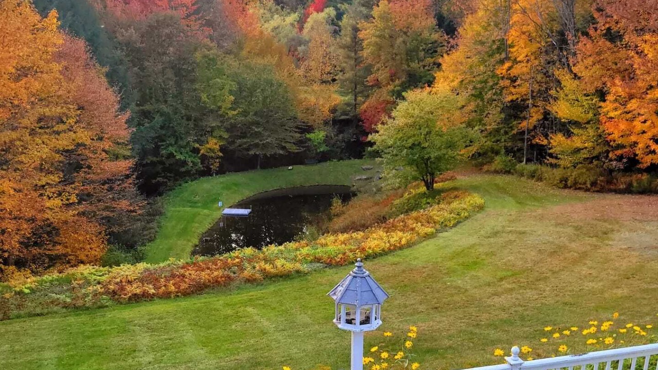 Photo of Others in Stowe Area