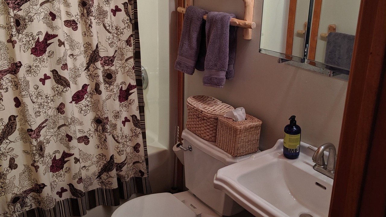 Photo of Bathroom in New Buffalo