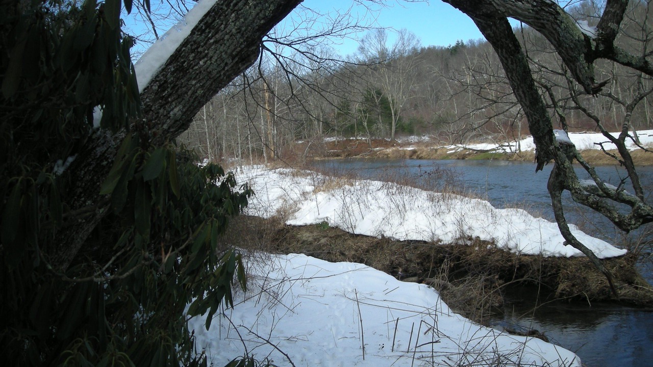 Photo of Others in West Jefferson