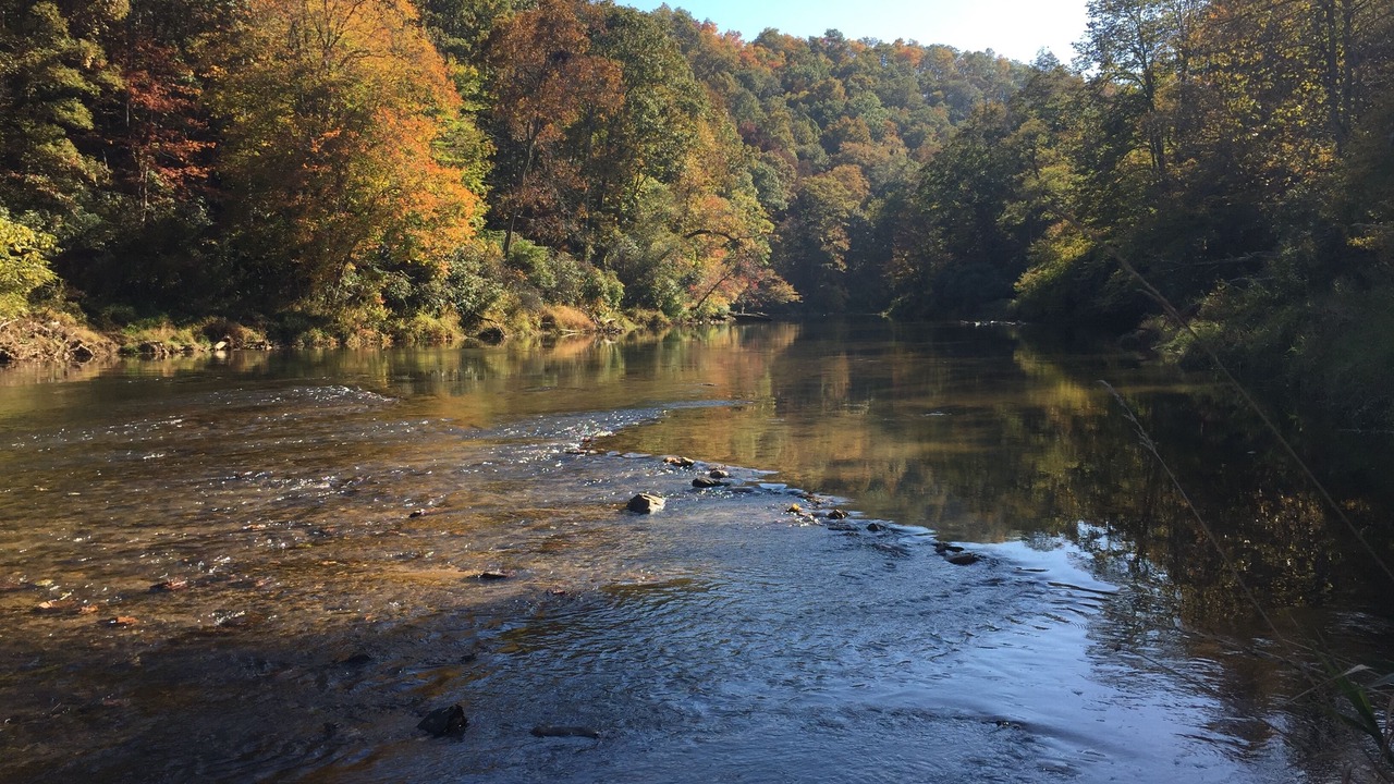 Photo of Others in West Jefferson