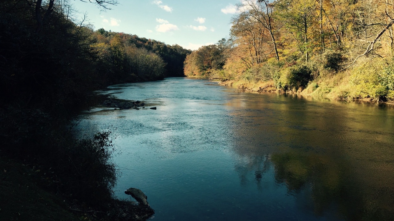 Photo of Others in West Jefferson