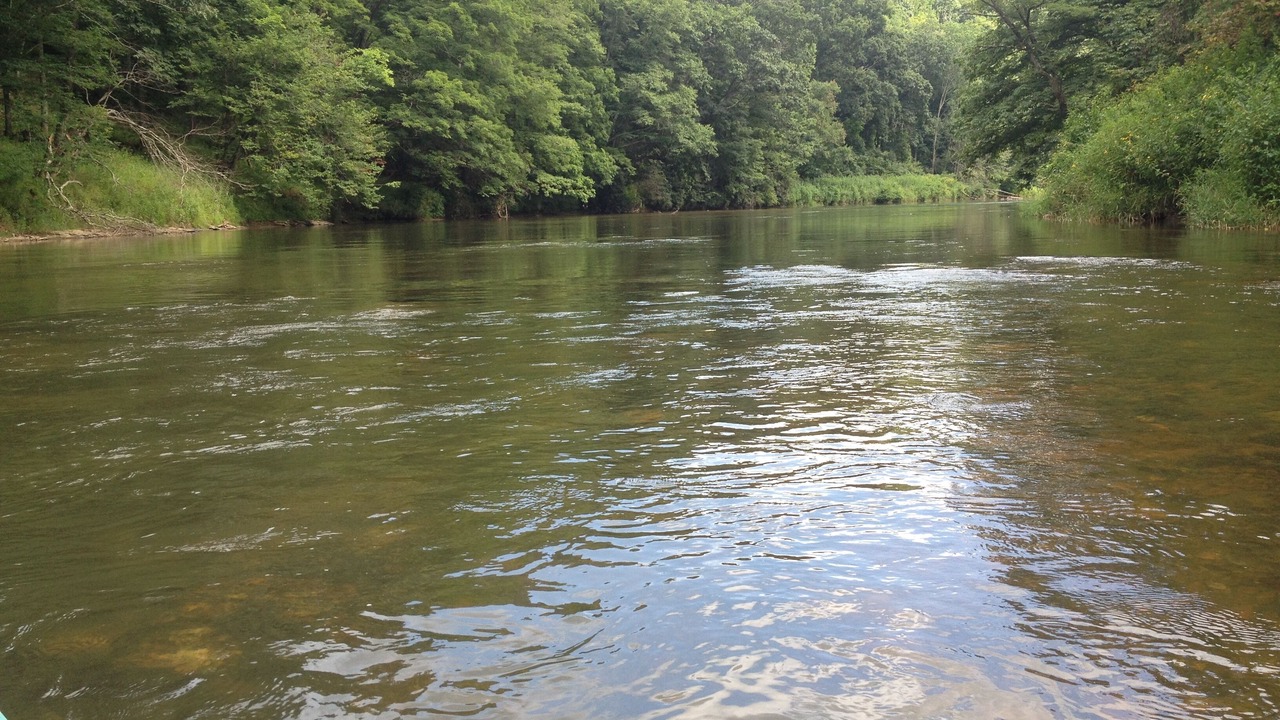 Photo of Others in West Jefferson