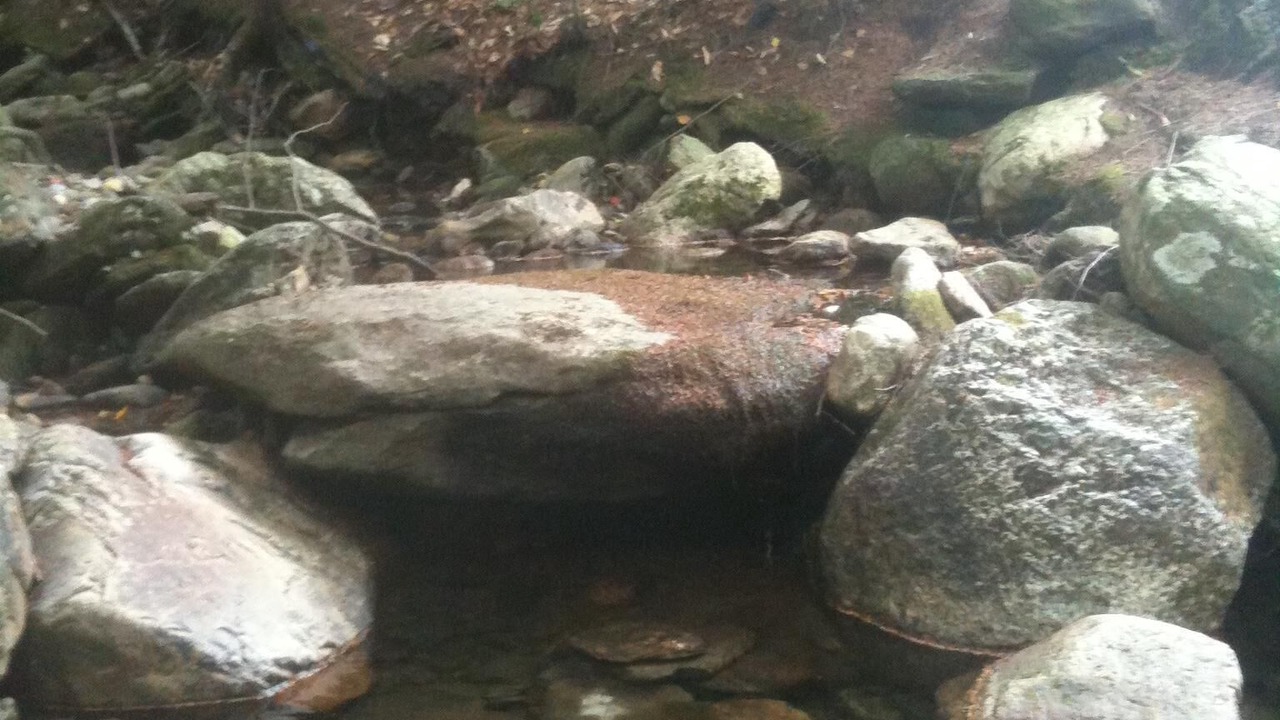 Photo of Others in West Dover
