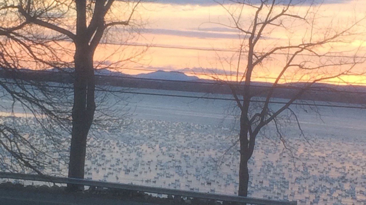 Photo of Others in Town of Beekmantown