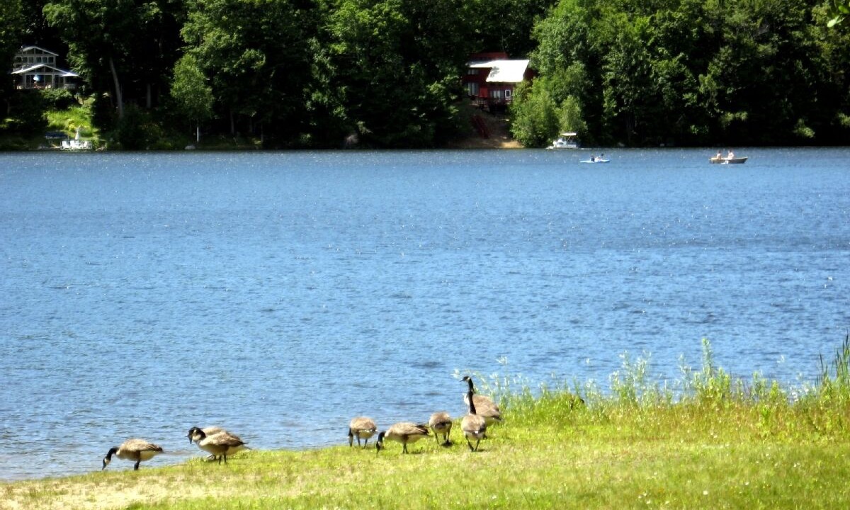Photo of Outdoor in Sherwood Forest