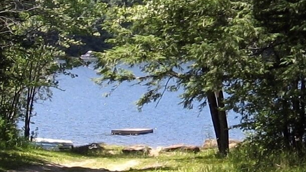 Photo of Outdoor in Sherwood Forest