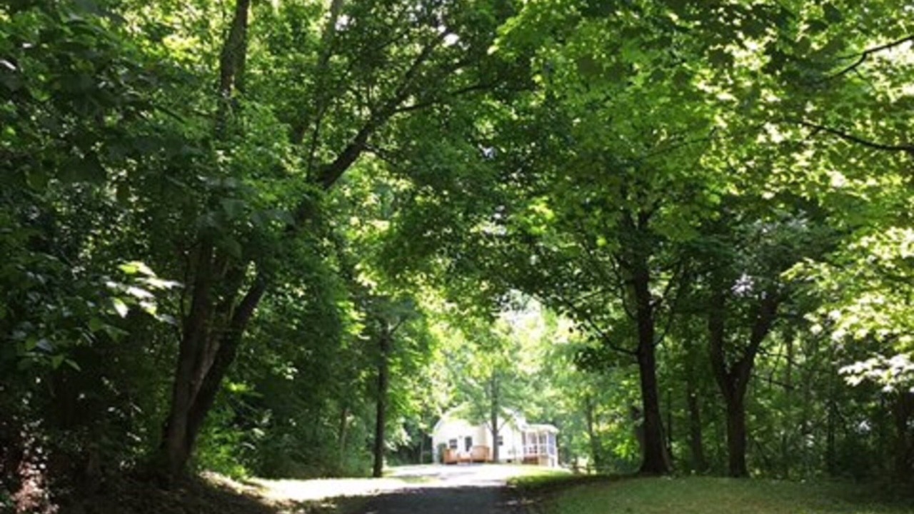 Photo of Others in Lexington