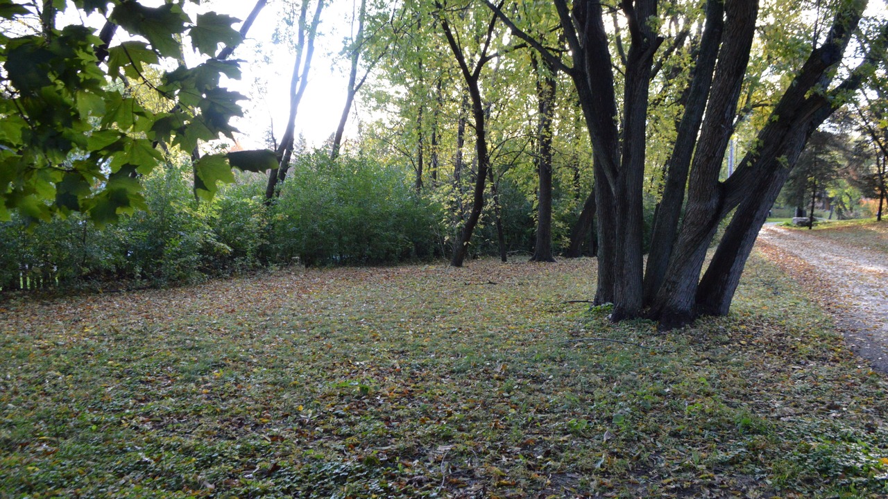Photo of Outdoor in Wayzata
