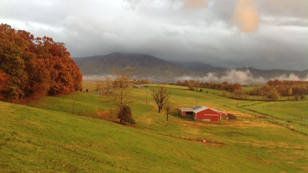 Photo of Others in Luray