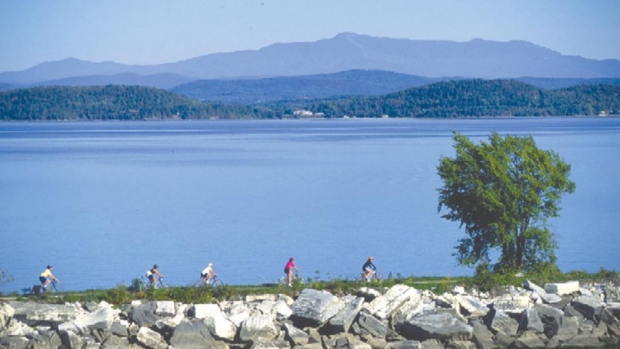 Photo of Others in Malletts Bay