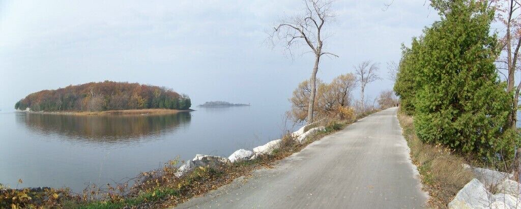 Photo of Others in Malletts Bay