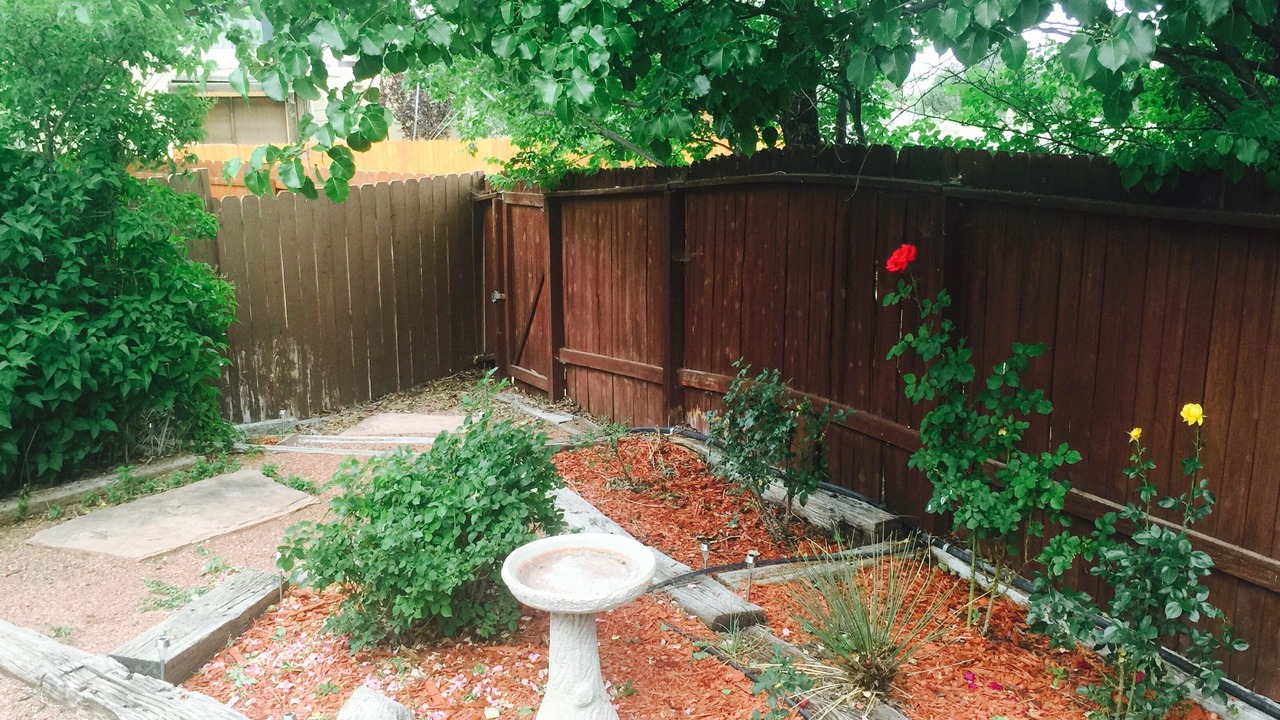 Photo of Others in Sandia Heights South