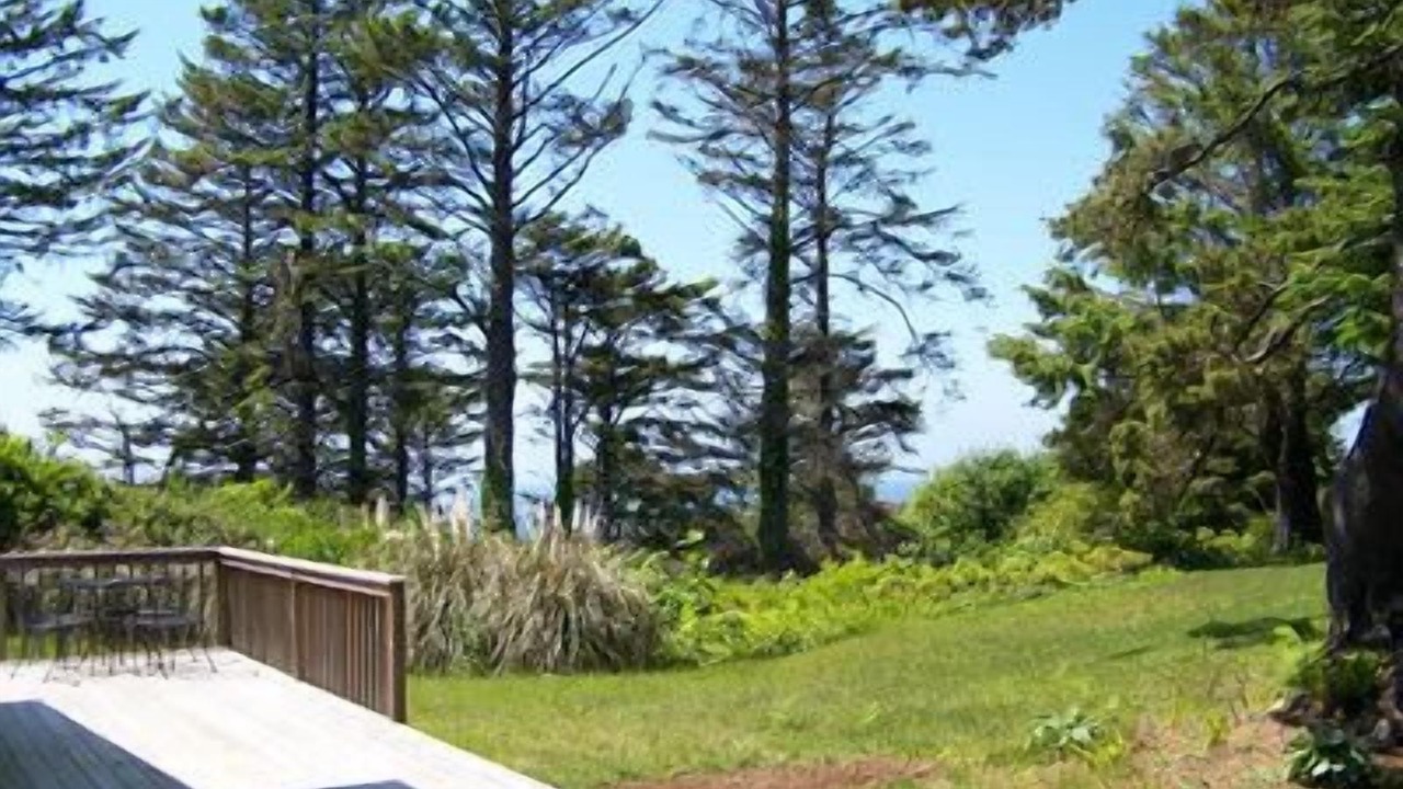Photo of Outdoor in Seal Rock